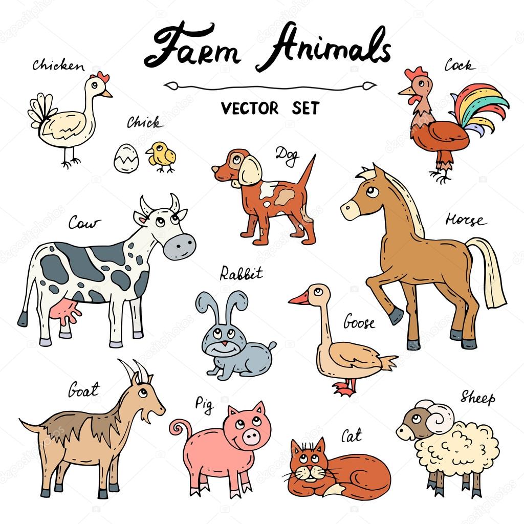 Vector set with hand drawn colored doodles on the theme of farm animals  Stock Vector Image by ©Ladychelyabinsk #120192422