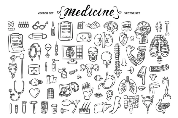 人間の臓器 解剖学をテーマにしたベクトル漫画 孤立した手描きのドドル アイコン 健康と医療のシンボル デザインのためのラインアート — ストックベクタ