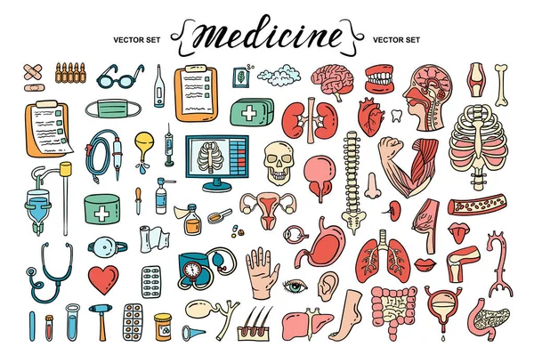 Dibujos Animados Vectoriales Sobre Tema Medicina Órganos Humanos Anatomía Garabatos — Vector de stock