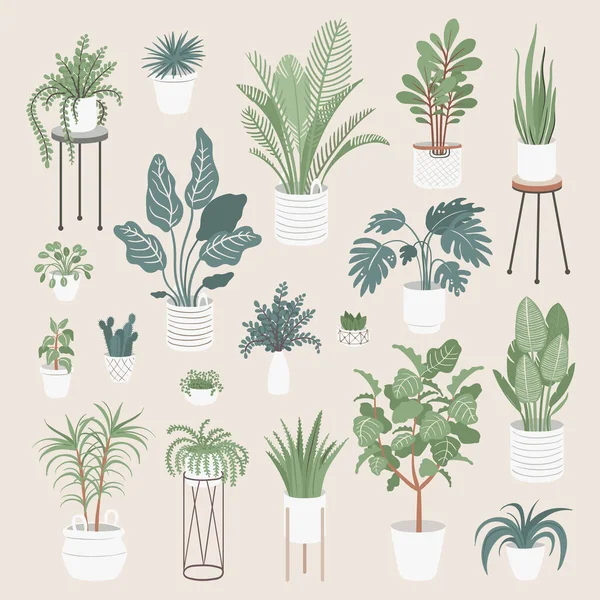 Conjunto Colorido Vectorial Con Plantas Interiores Aisladas Colección Sobre Tema — Archivo Imágenes Vectoriales