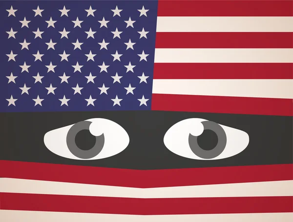 USA flagga fruktar ögon — Stock vektor
