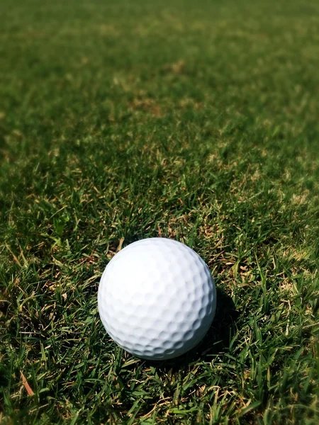 Golfbal op gras — Stockfoto