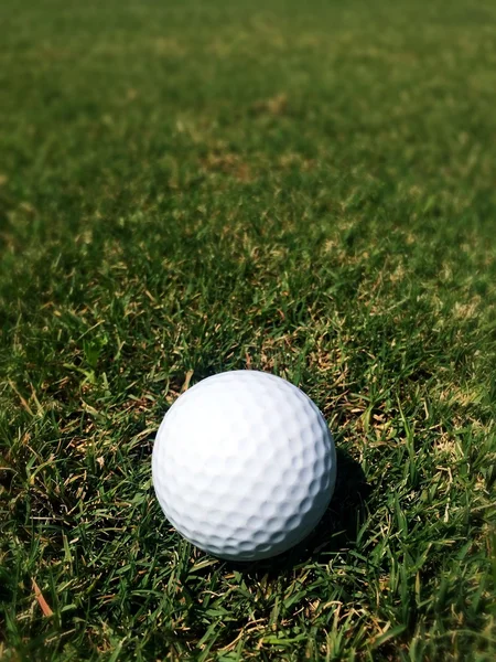 Golf ball on grass — Stock Photo, Image