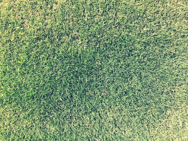 Grass texture vintage effect — Stock Photo, Image