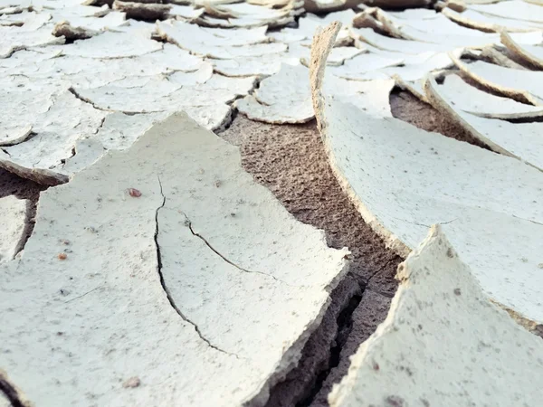 Dry mud with cracks