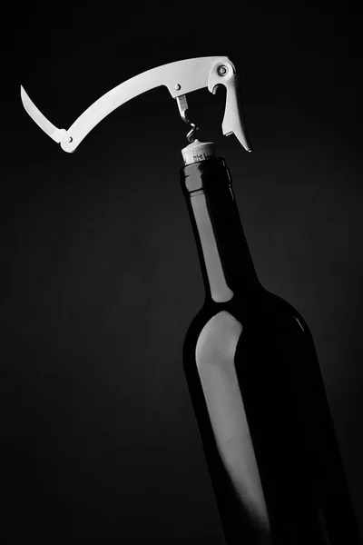 Skleněné láhve a víno — Stock fotografie