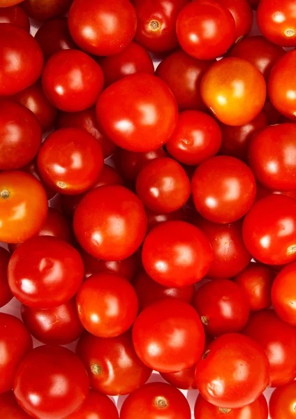 Ein rotes Gemüse — Stockfoto