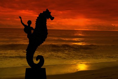 Puerto vallarta içinde