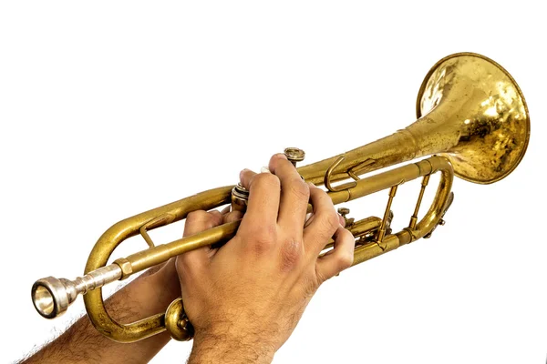 Gouden messing trompet in zacht licht geïsoleerd op witte achtergrond. — Stockfoto