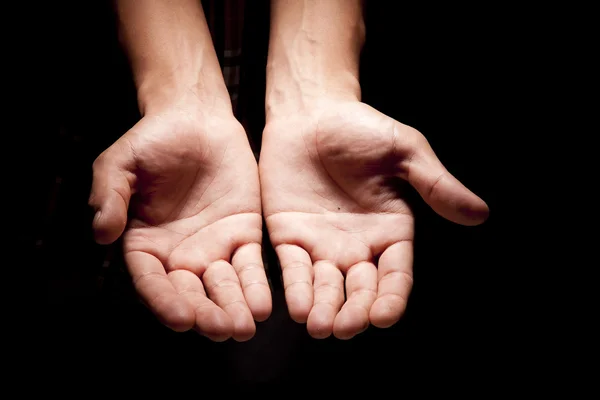 The Praying Hands — Stock Photo, Image