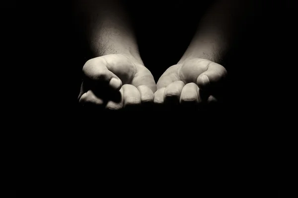 The Praying Hands — Stock Photo, Image