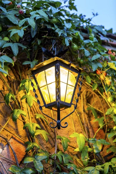 Lâmpadas decorativas solares em um jardim noturno — Fotografia de Stock