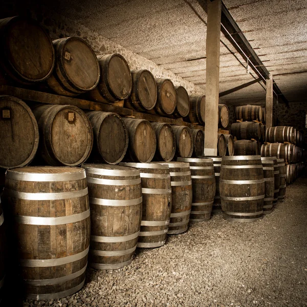 The Wine barrels — Stock Photo, Image