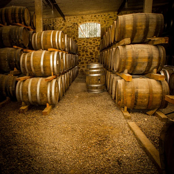 The Wine barrels — Stock Photo, Image