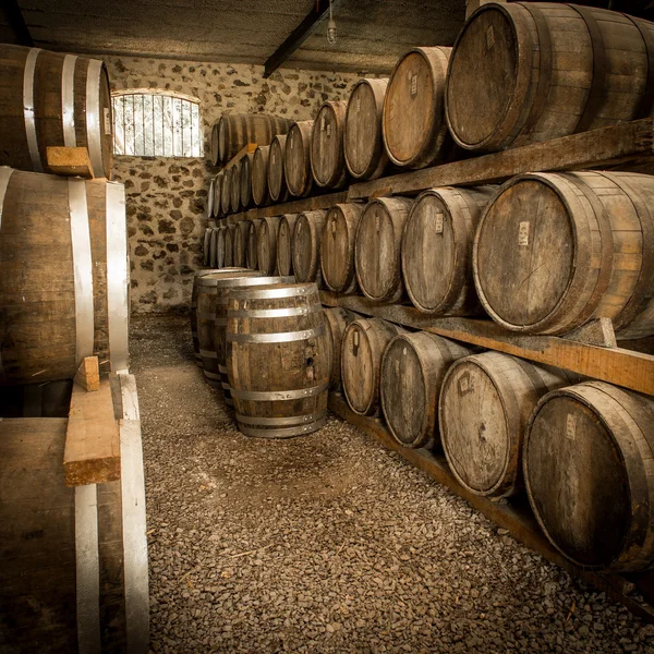 The Wine barrels — Stock Photo, Image