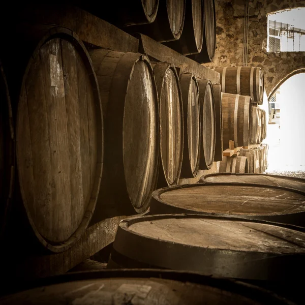 Le botti di vino — Foto Stock