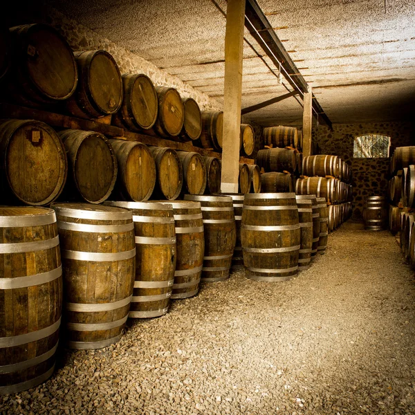 The Wine barrels — Stock Photo, Image