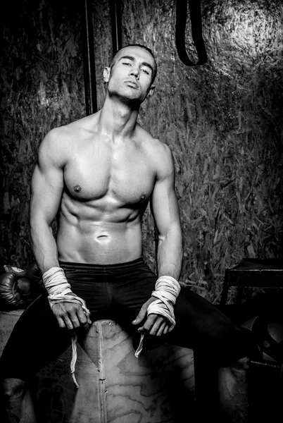 Ung muskuløs mann i gymsalen – stockfoto