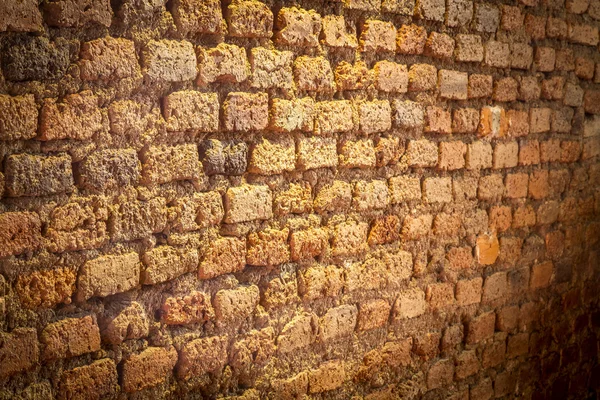 Un vieux mur — Photo