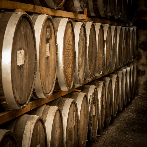 Wine barrels tequila — Stock Photo, Image