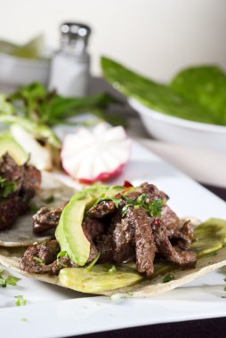 Avokado tarafından eşlik Meksika taco gurme