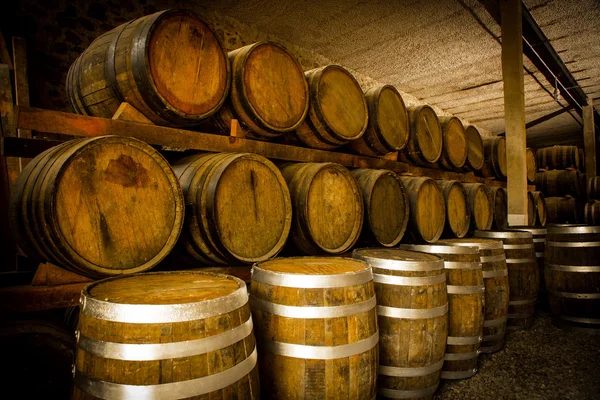 Barriques de vin vieux — Photo