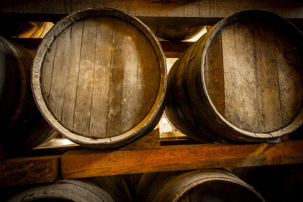 Barriques de vin vieux — Photo