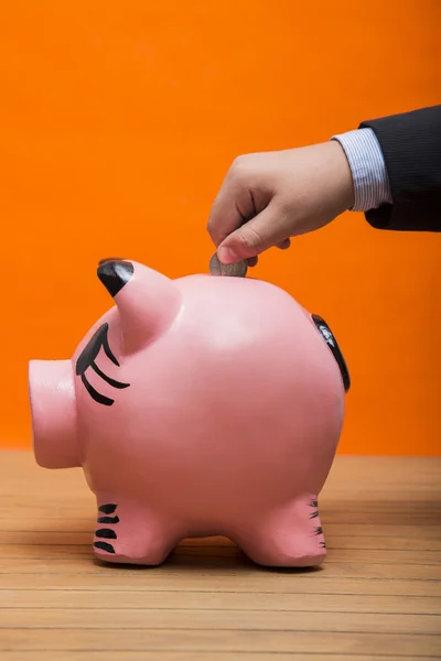 ceramic pig for saving money