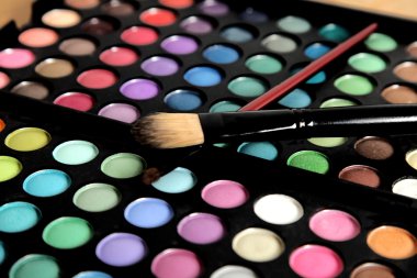 profesyonel makyaj fırçası ile renkli göz gölgeler paleti