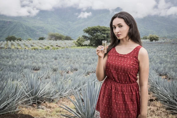 Mexikanska agave landskap med kvinna och tequila — Stockfoto