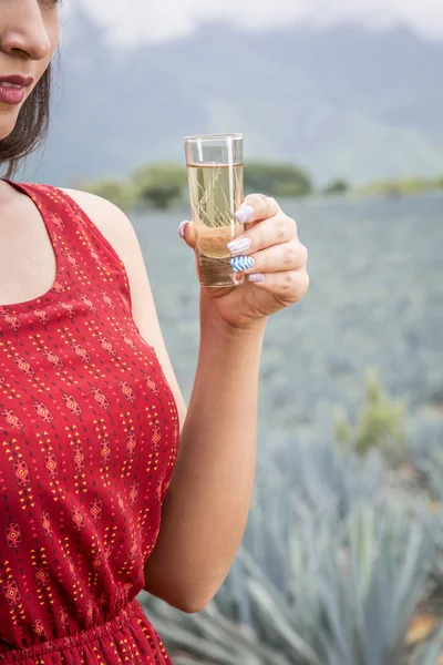 Mexikanische Agave-Landschaft mit Frau und Tequila — Stockfoto