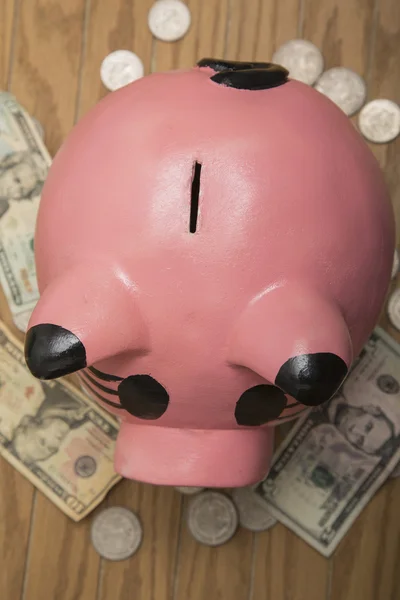 ceramic pig for savings