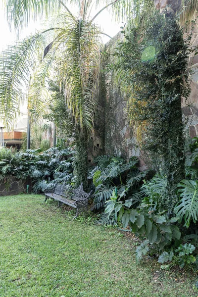Serra Piena Piante Verdi Crescente Casa Piante Decorative Verdure — Foto Stock