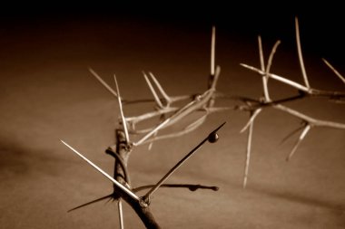 İsa 'nın dikenli tacının ayrıntıları ve kan damlaları. 