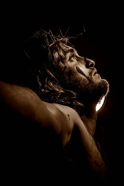 그리스도는 속에서 가시면 류관으로 십자가에 으셨습니다 — 스톡 사진