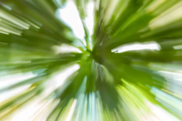 Abstrakte Grüne Waldszene Mit Linsenunschärfe Und Zoomeffekt Naturhintergrund — Stockfoto