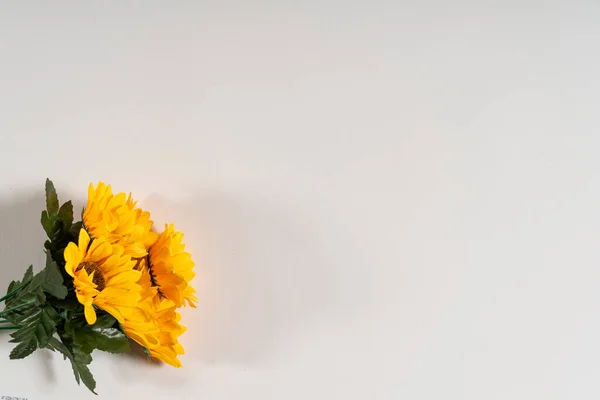 柔らかい色の背景に黄色の花の茂みの背景 — ストック写真