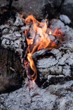 Tipik bir Meksika restoranında yemek hazırlama.
