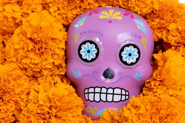 Komposition Mit Typisch Mexikanischem Totenkopf Und Cempazuchitl Blüten Auf Weißem — Stockfoto