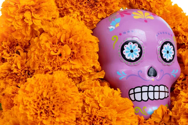 Composition Avec Crâne Mexicain Typique Fleurs Cempazuchitl Sur Fond Blanc — Photo