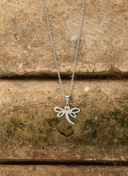 Silver Chain Dragonfly Pendant Quarry Stone — Stock Photo, Image