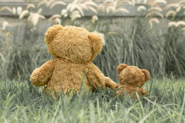 Teddy bear with little bear in outdoor garden. Destaurated background.