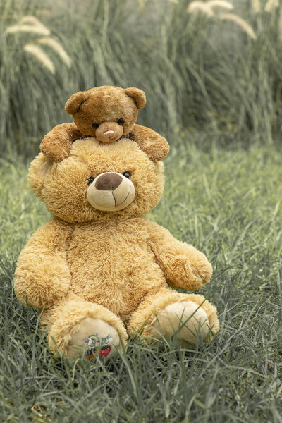 Teddy bear with little bear in outdoor garden.