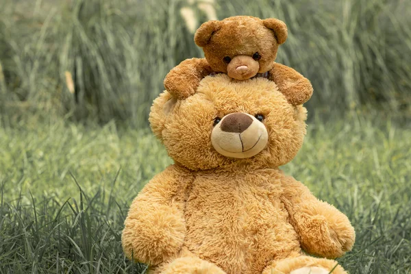 Teddy bear with little bear in outdoor garden.