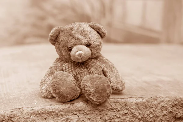 Little bear in outdoor. Sepia tones