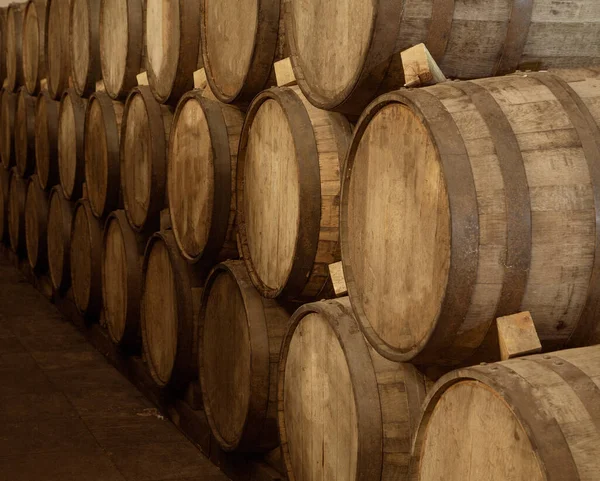 Barils Vin Empilés Dans Ancienne Cave Cave Des Tons Chauds — Photo