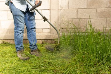 Olgun bahçıvan evin bahçesinde çalışıyor..