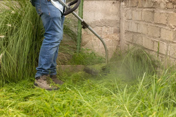 Volwassen Man Tuinman Werk Tuin Buiten Het Huis — Stockfoto