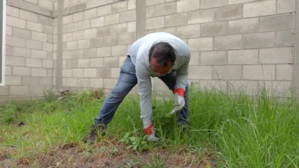 成熟した男の庭師は家の外の庭で働く — ストック動画