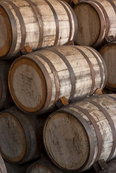 Wine barrels — Stock Photo, Image